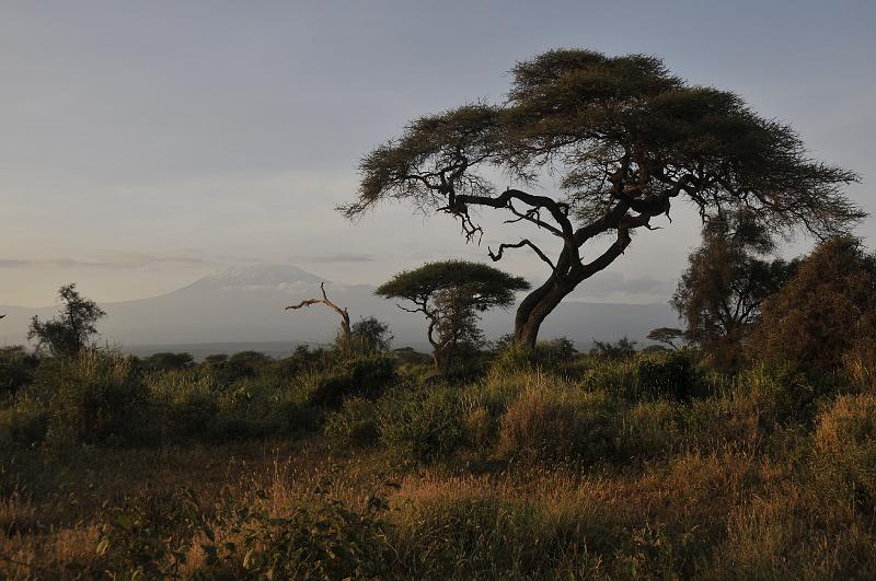 048_120109.JPG - Kilimanjaro